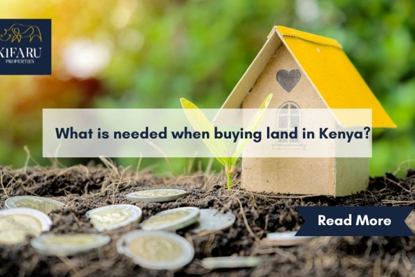 What is Needed When Buying Land in Kenya