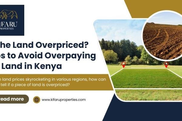 Is the Land Overpriced? Tips to Avoid Overpaying for Land in Kenya